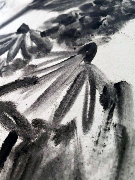 Premium Charcoal Powder - Small